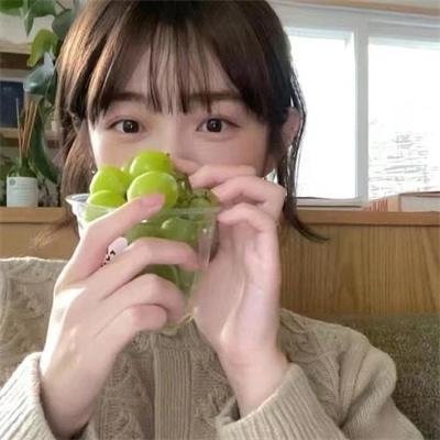 蠢蛋进化论